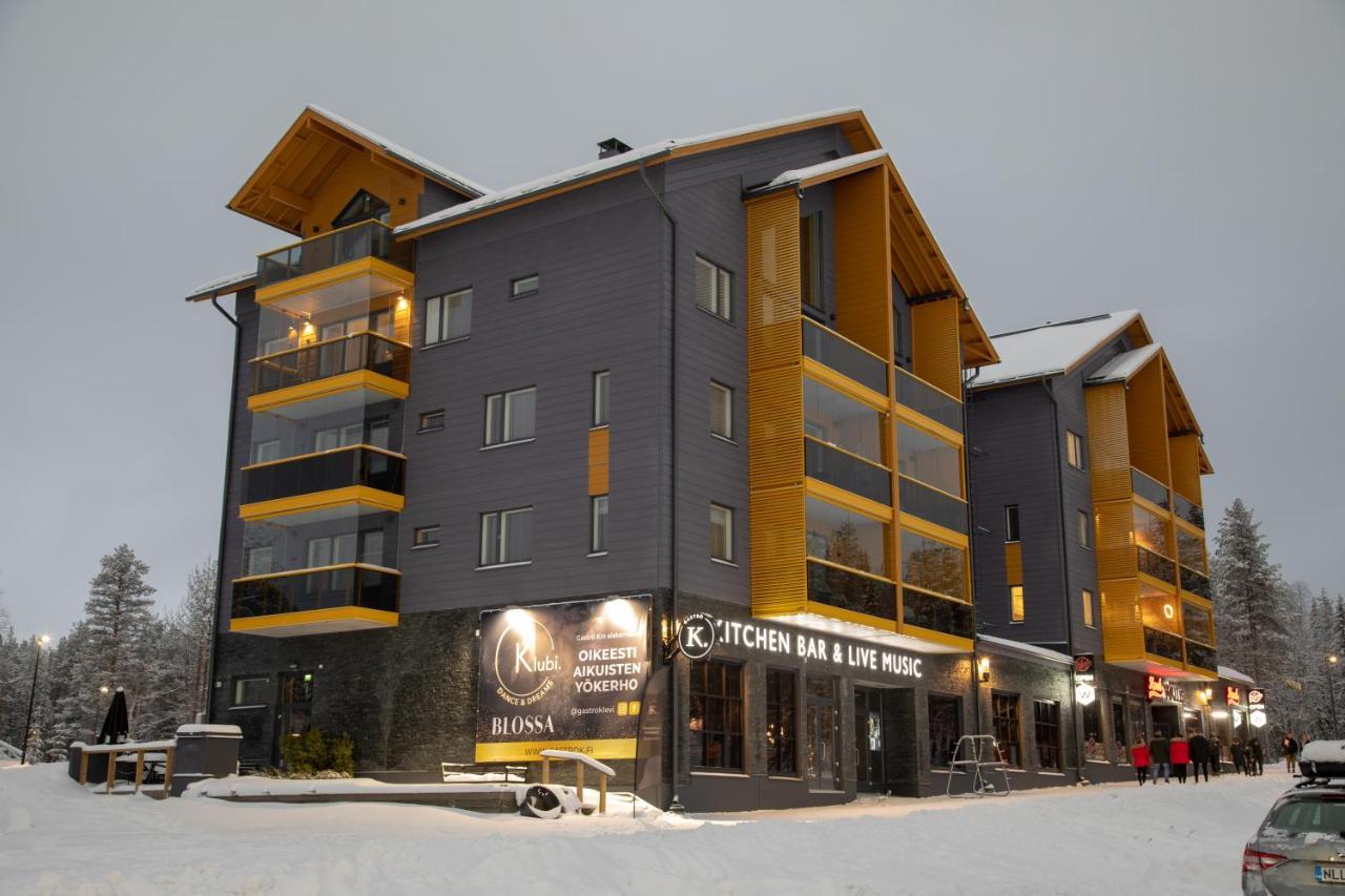 Levin Kunkku B2 Apartment Grey Dış mekan fotoğraf